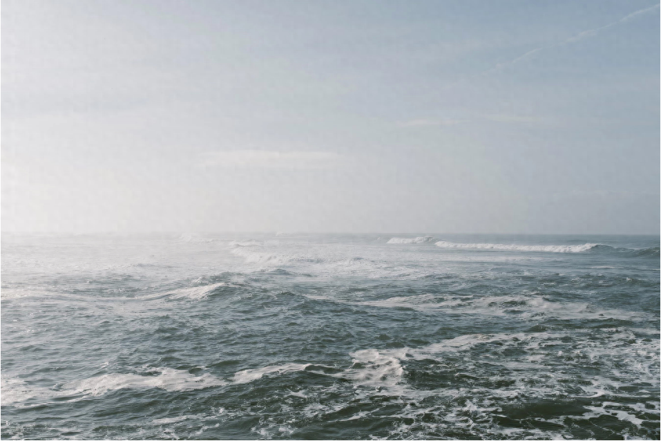 七律 · 冬日晨读寄友 // 云青子