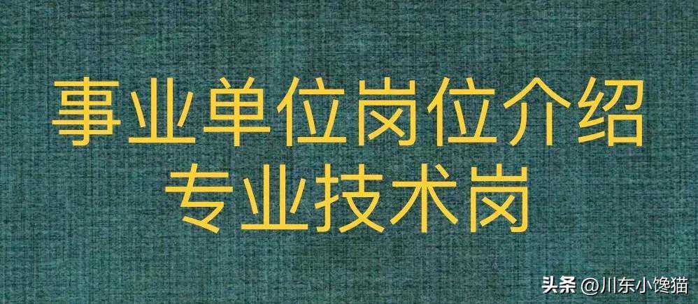 事业单位岗位介绍之“专业技术岗”