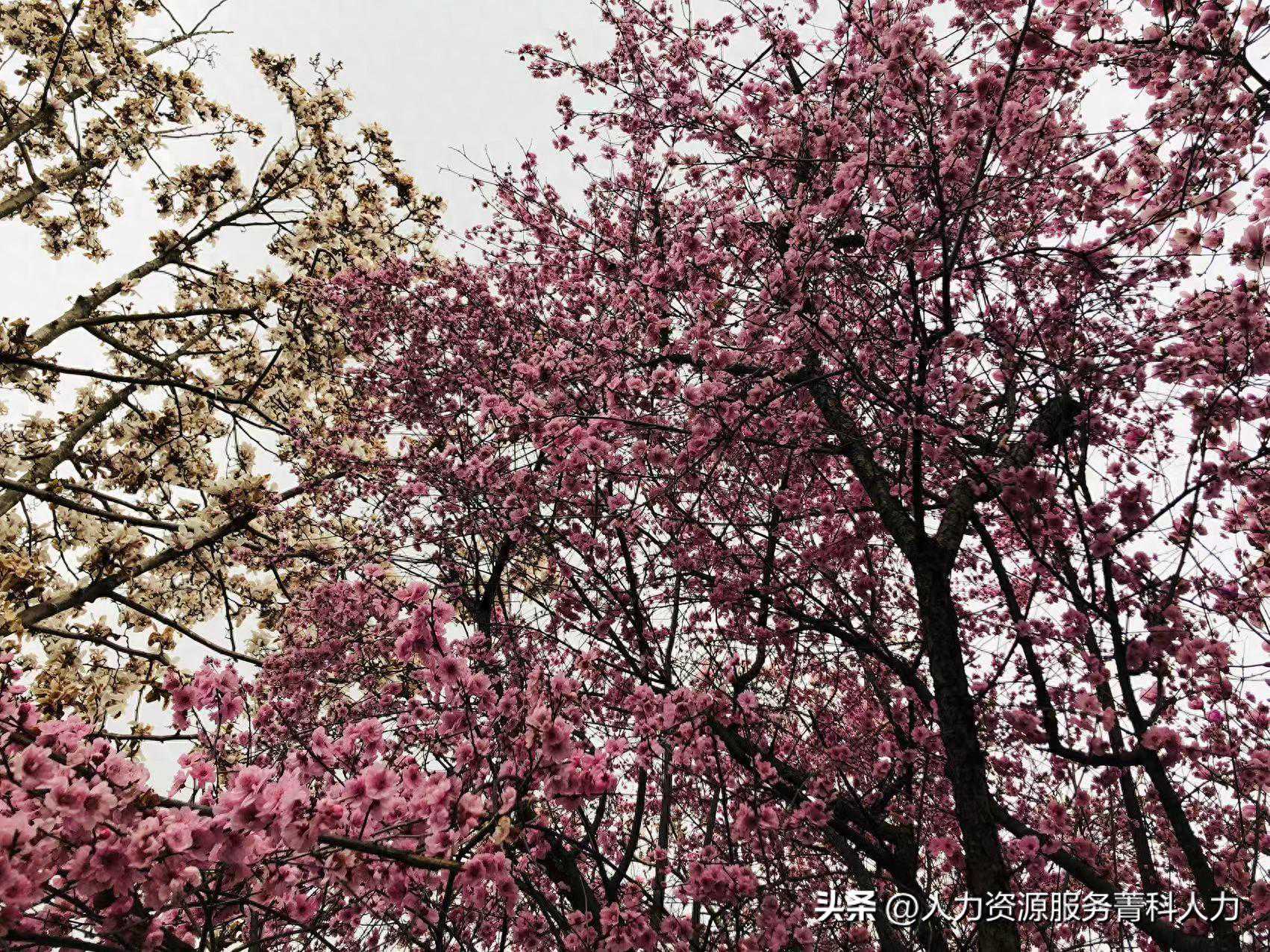 弹性办公居家办公在国内可行吗？