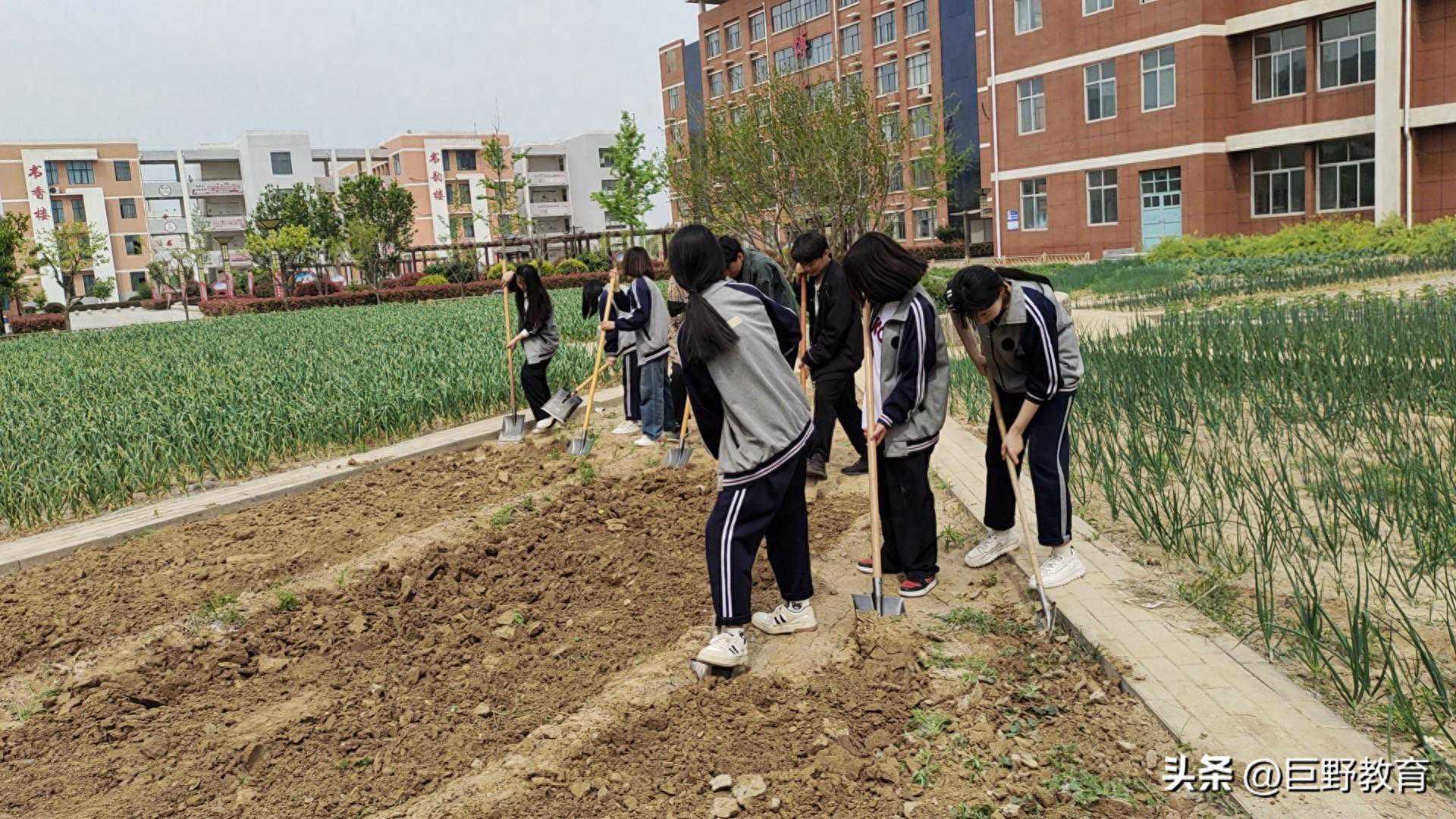 劳动砺心智 实践促成长——巨野县董官屯镇第一中学组织开展劳动教育实践活动