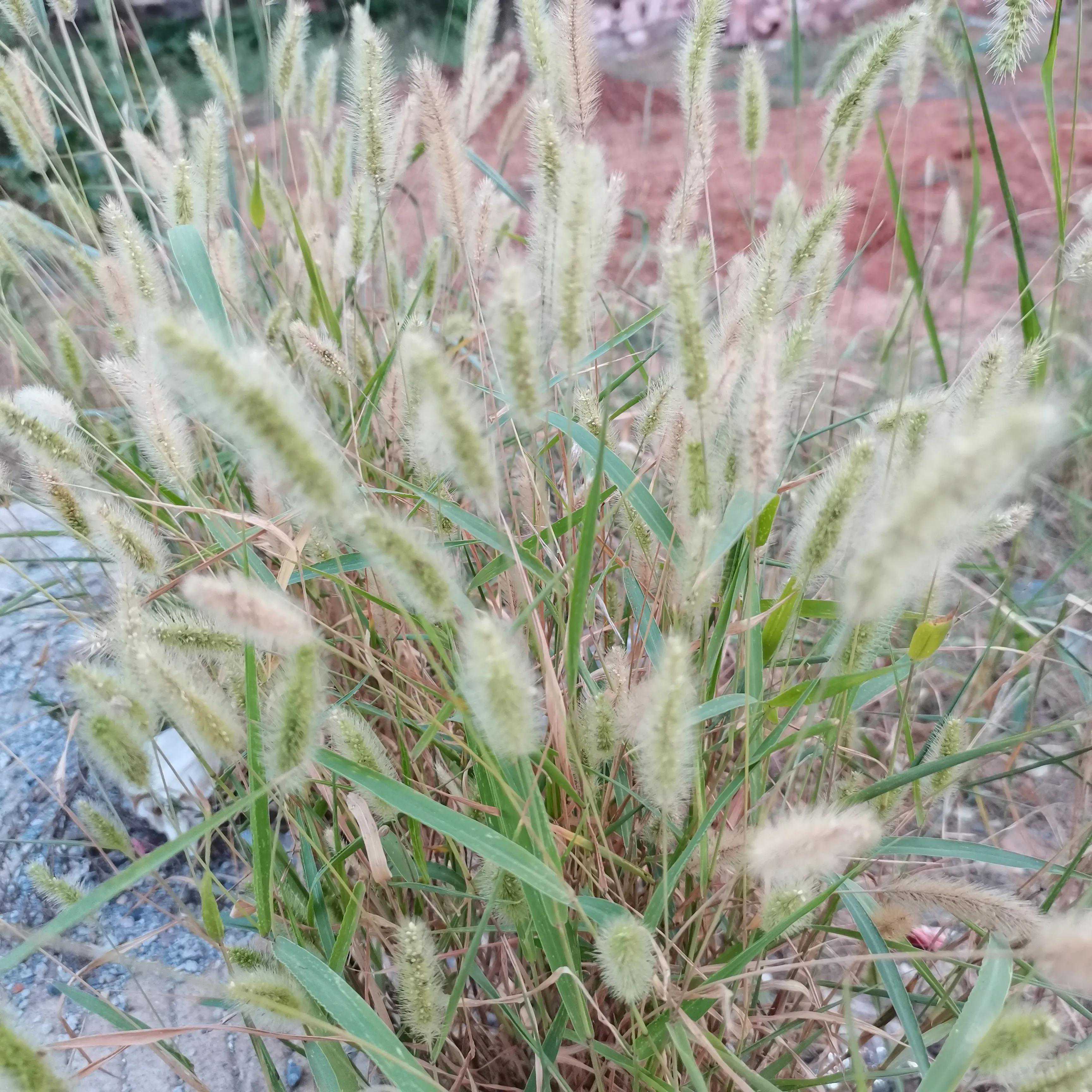 写出你知道的30种职业