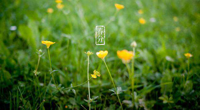 在最美的诗词里，遇见最美的春分