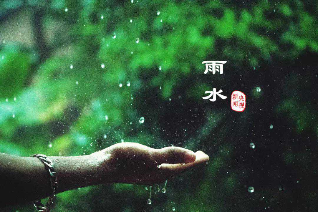 雨水丨如雨如水，温柔坚定