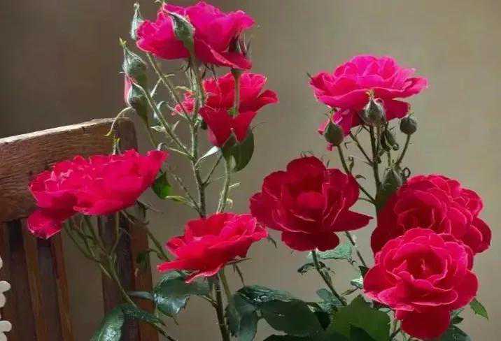 逆着阳光触摸太阳