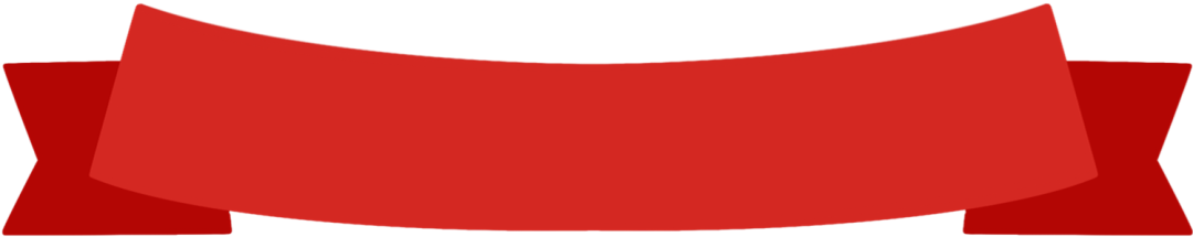 海珠中路小学第七次少代会大队委候选人风采展示