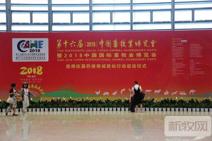 他用“互联网+环保”做到年收入达4亿元的秘诀是什么？