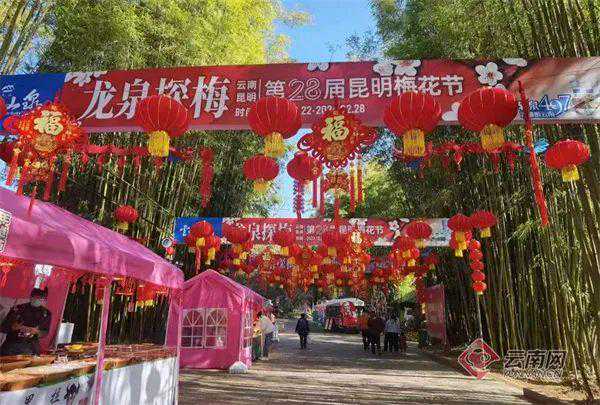 春节没“玩场”？快快查收这份龙年“趣”年味，昆明游玩攻略→