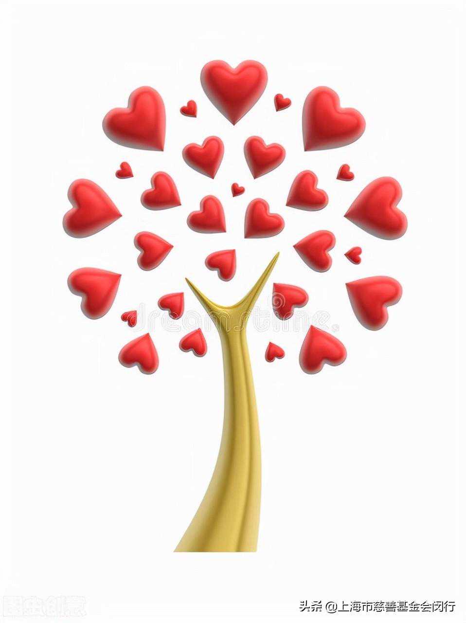 闵行各界爱心涌动，闵行慈善接受抗疫捐款逾192万元