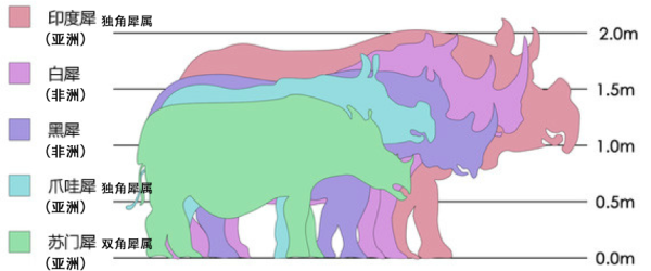 人犀之间：从猎杀驯养到灵犀想象