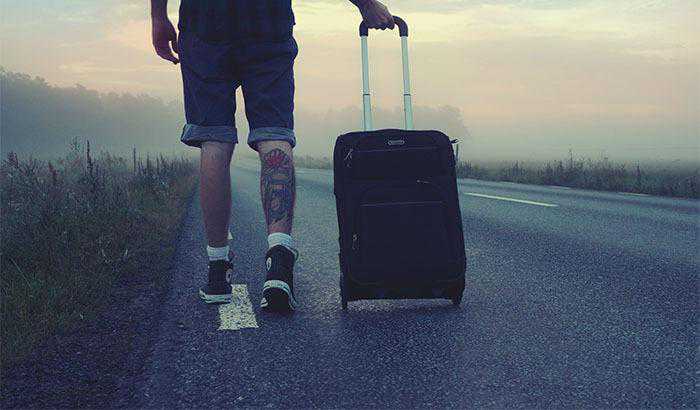 “非瘟爆发后的第三个月，我离开了这行……”