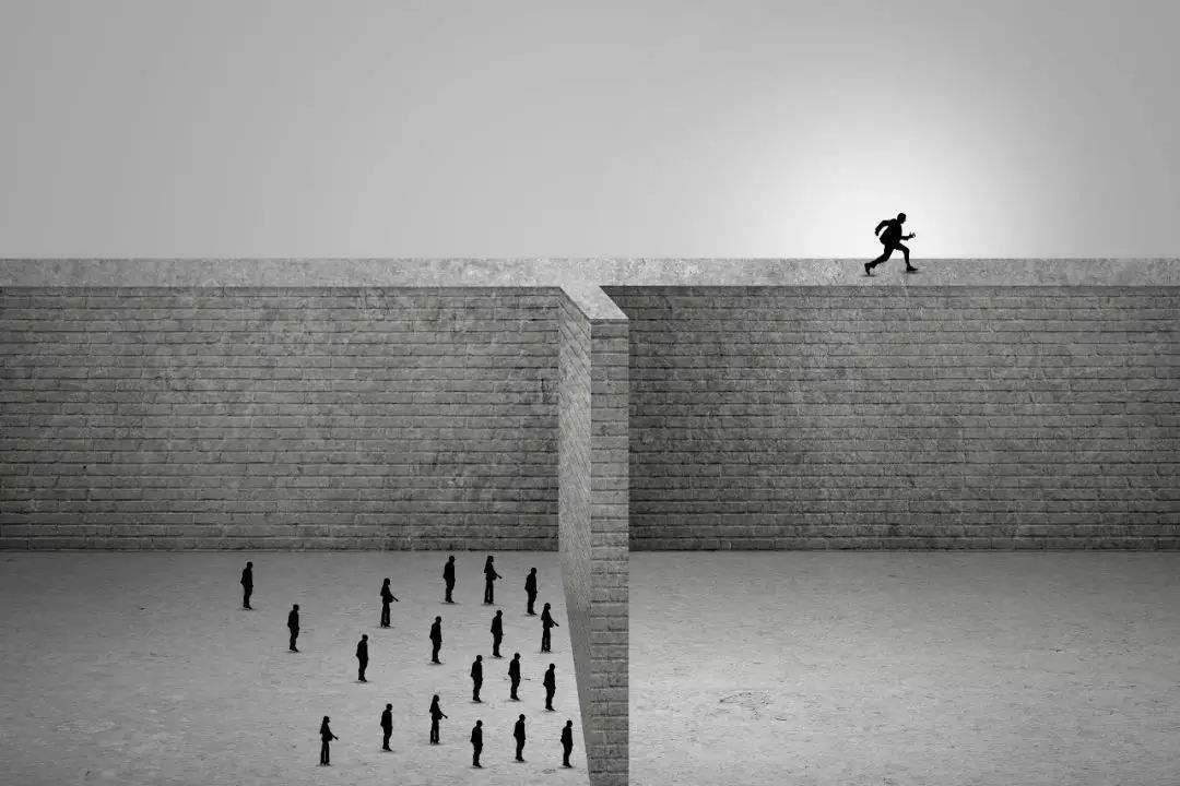 那些逃离养殖场的人，后来怎么样了？