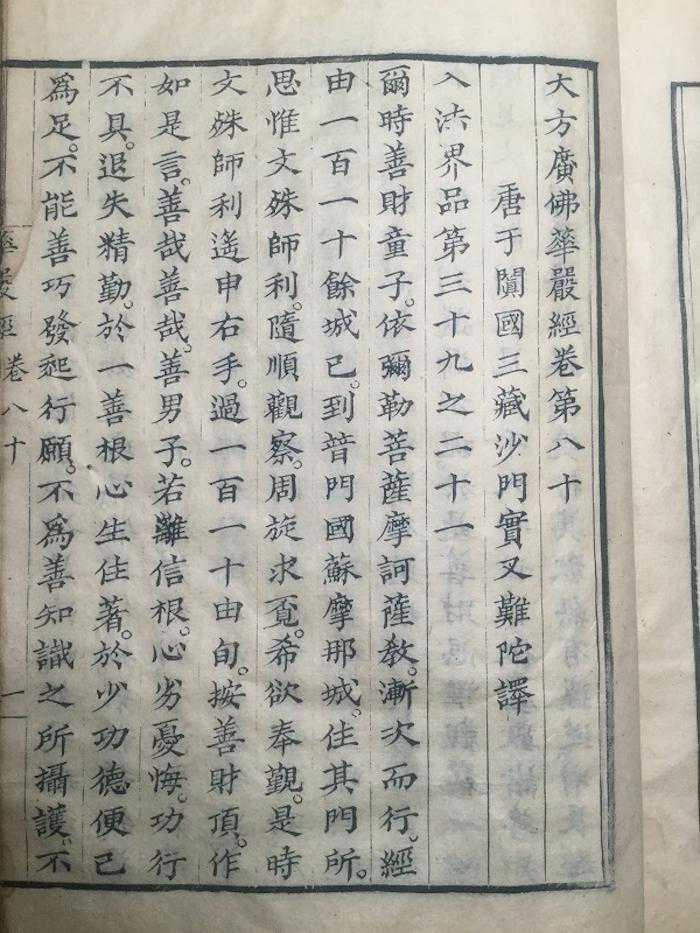 高山杉｜一本残书引起的一系列发现