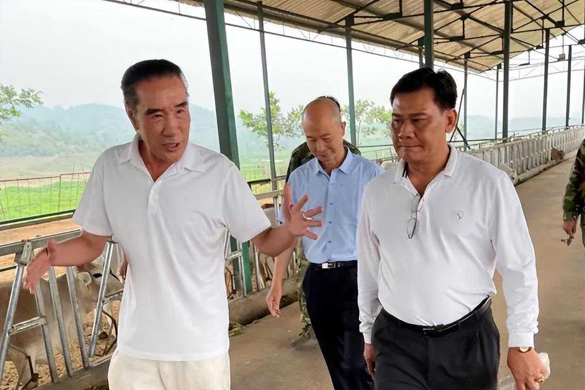 中国富商在金三角拿下土地99年租期，手撕糯康，成为新一代大佬