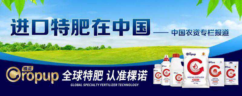 德钾盐：引领含镁特肥新潮流，共创“镁”好生活