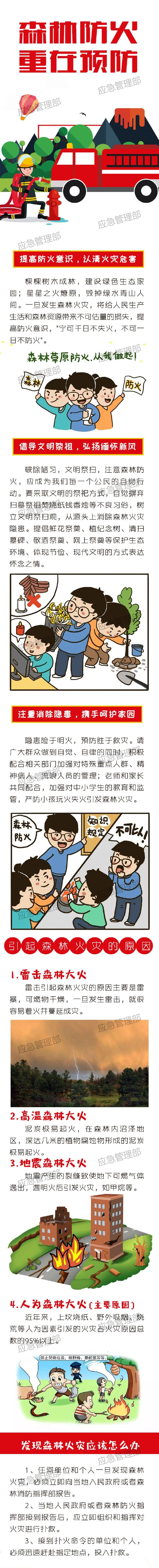 实招硬招！开远筑牢这道“墙”→