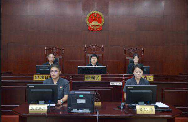 中国石化集团新星石油有限责任公司原党委书记徐向荣受贿案一审公开开庭