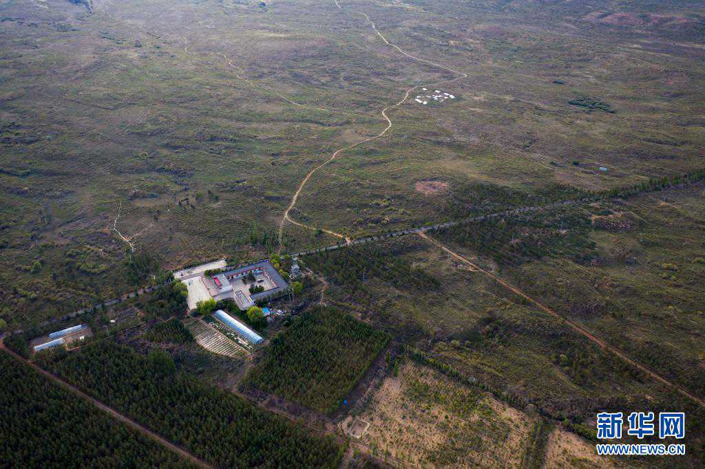 毛乌素沙地科研忙 沙漠再无盐池黄
