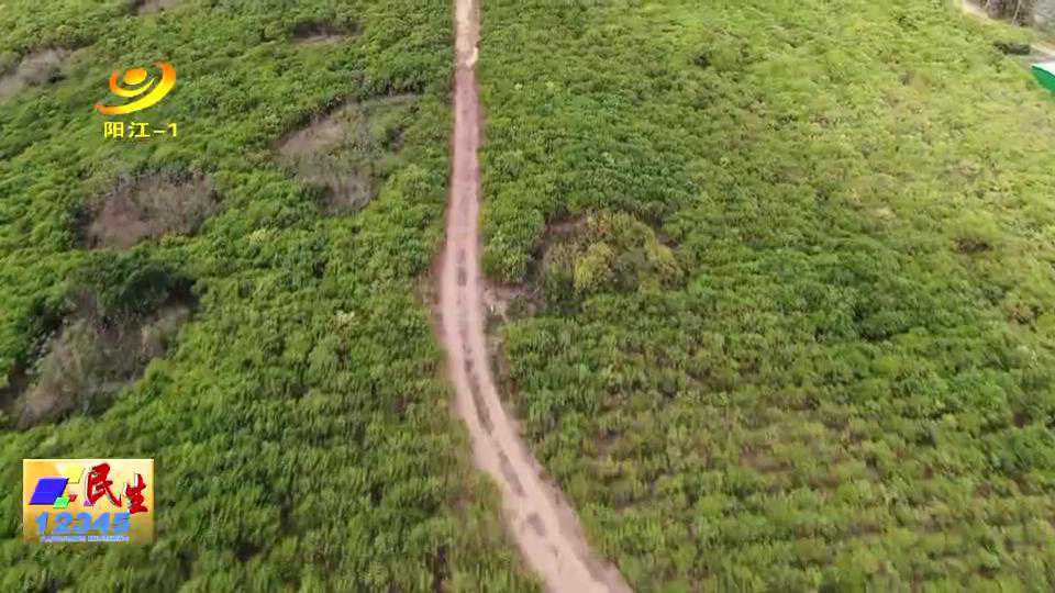 织篢蒲牌：南药种植赋能产业振兴