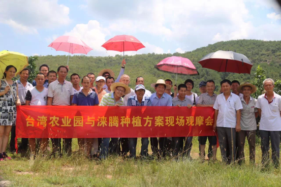 涞腾柚子种植方案好不好？观摩会现场见分晓