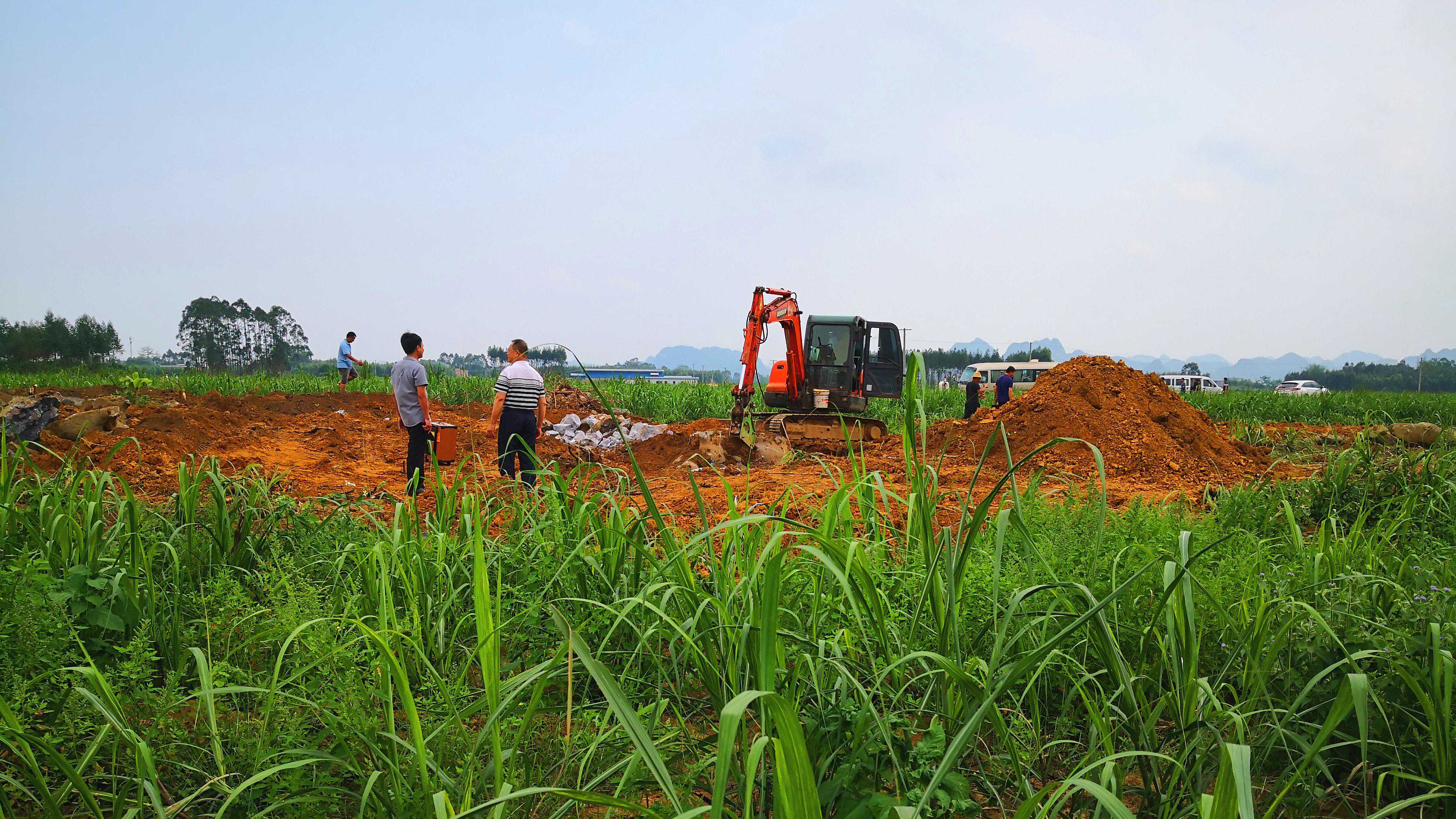 甘蔗生产全程机械化中的宜机化改造优点