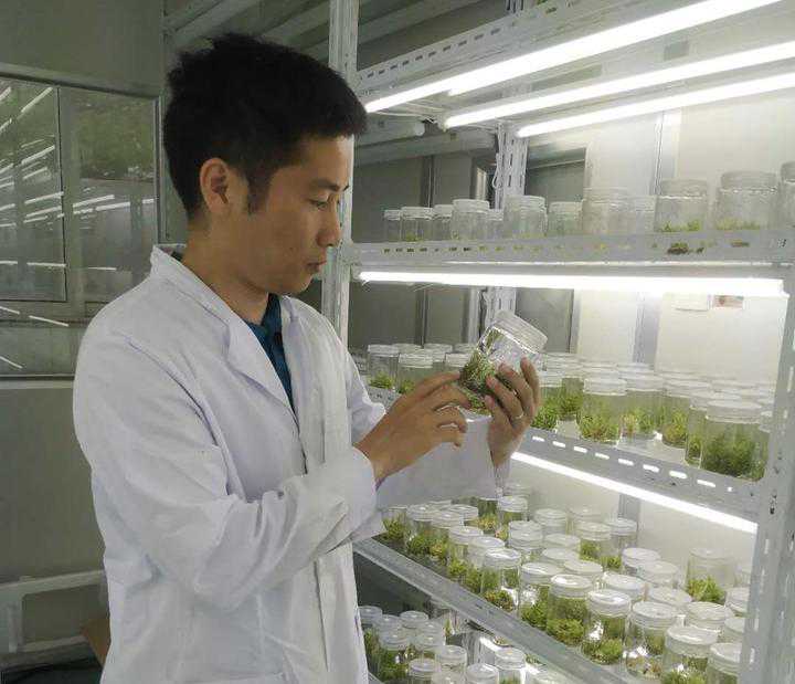 一对一服务 外来人才在海盐创业有了“资深助理”