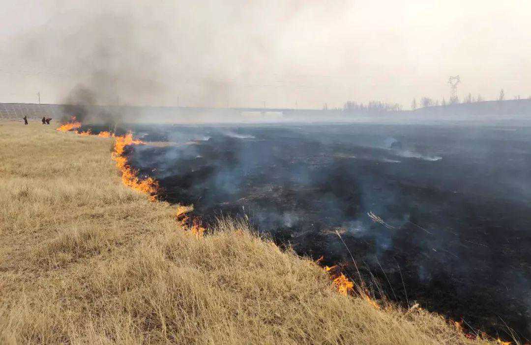 表彰公示！看看东胜都有谁~