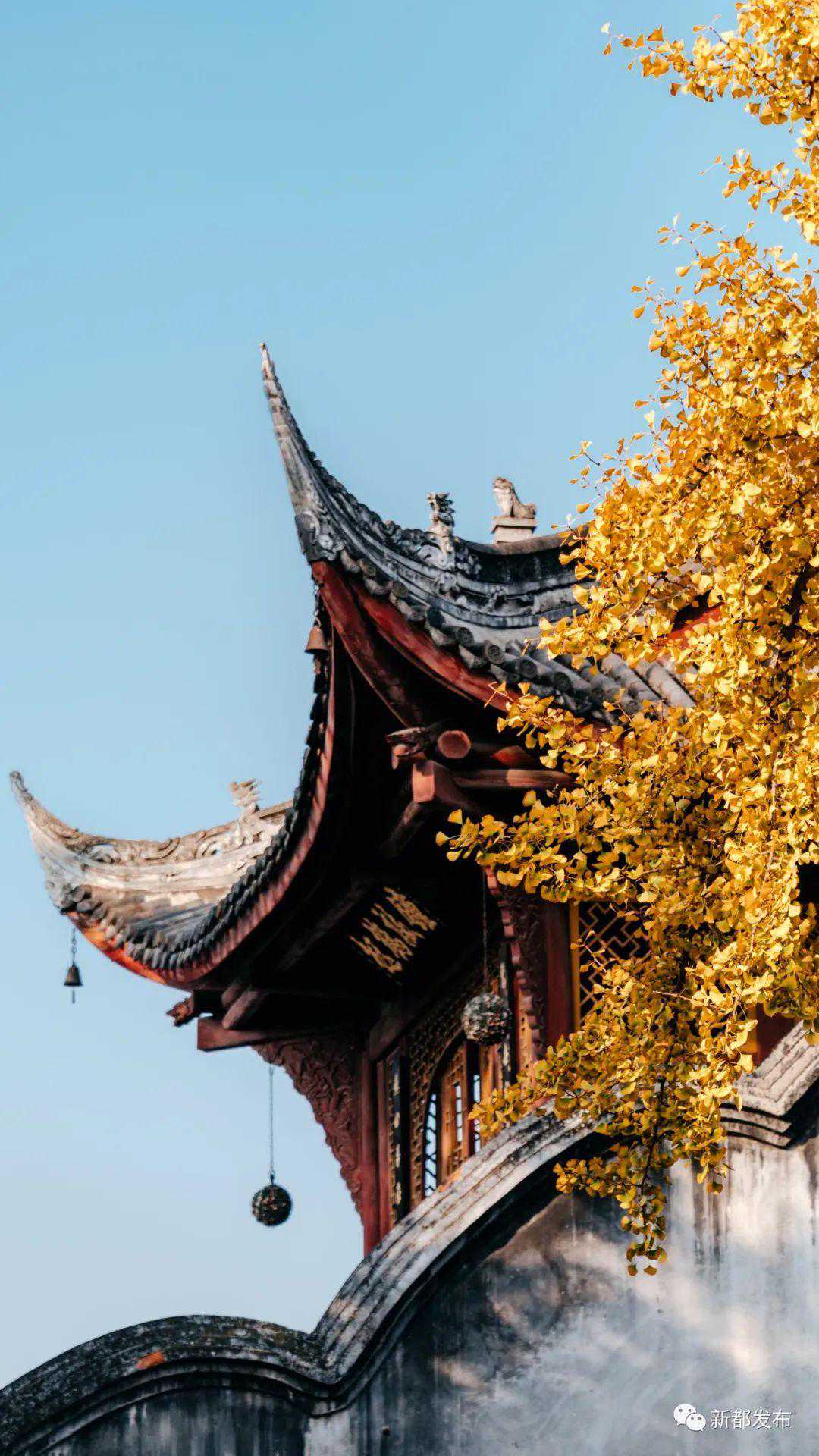 是时候公开了！2023新都年度“顶流”来啦！