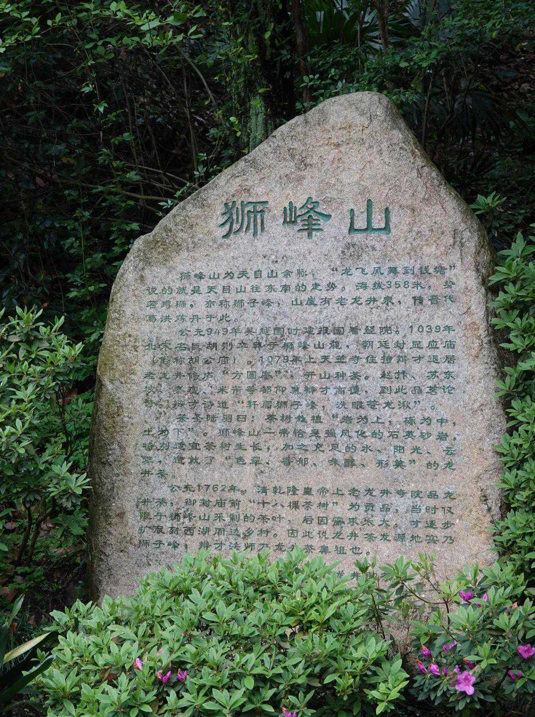 杭州，狮峰山下龙井泉边，乾隆皇帝的十八棵御茶树