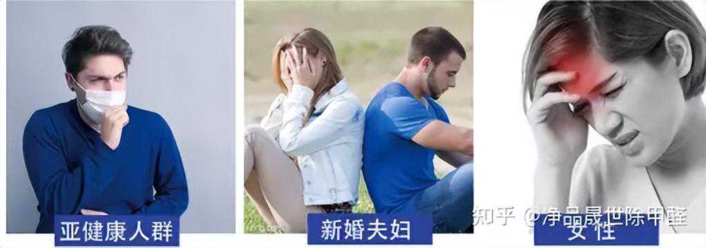 除甲醛十大公司排名更新啦！2023年最新评测，靠谱指南！