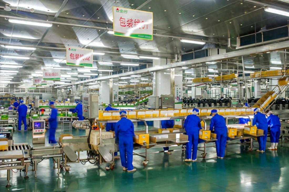 畅销市场30年——金锣肉制品的历程