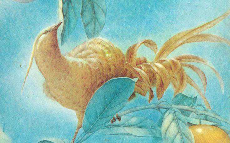 童话里那些帮助主人公迎娶白富美的动物（下）