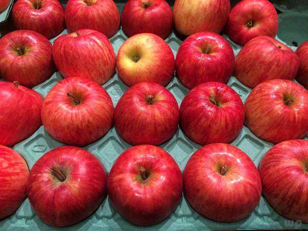 为什么说早上金苹果，下午银苹果，晚上毒苹果？减肥能吃苹果吗？