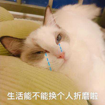 涂抹式面膜如何选？皙活雪润精华膜极具DIY特色，纵享丝滑美肌！