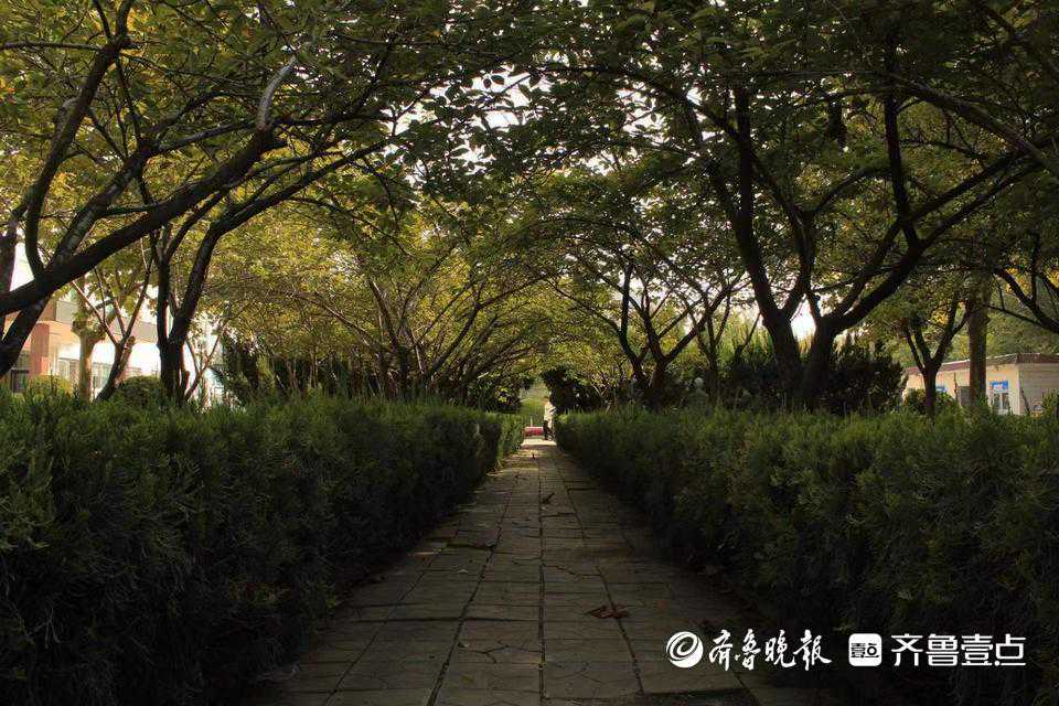 玛氏在“第四届消博会”上加入“全球可持续消费倡议”