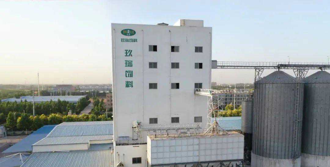 路歌×玖瑞：换挡升级，饲料运输如何加“数”奔跑？