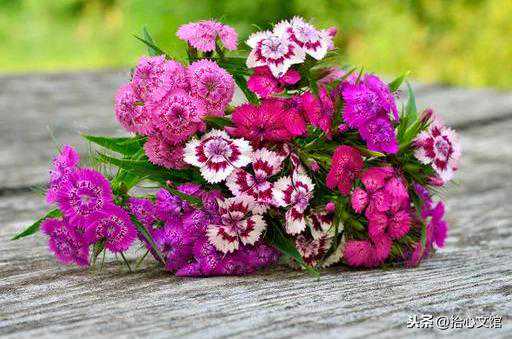 理解！（经典好文）