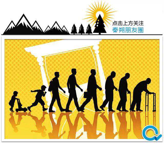 人生何解？这道命、运、理的函数题   大视野