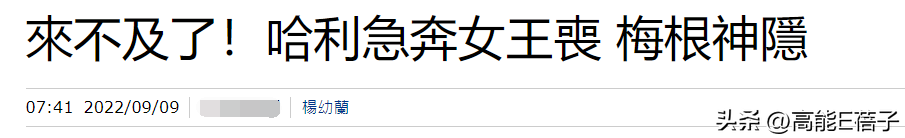“温莎意难忘”大结局：女王走了，她的柯基和作精子女们怎么办？