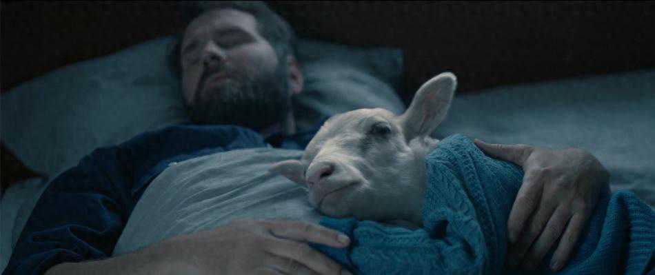 最新另类恐怖片，超越正常思维，农场里的羊生出奇怪的羊崽