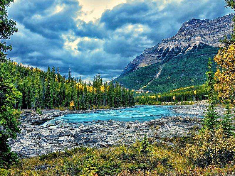 福建省环境工程公司优秀企业推荐