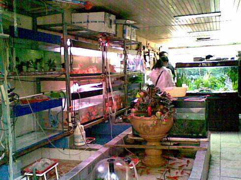 本人开鱼店的一次悲惨经历！