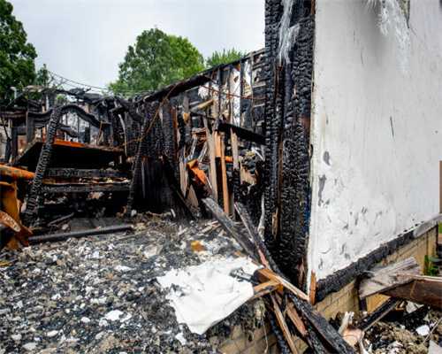 新华·博物馆日报（第207期）：“隻立千古——《红楼梦》文化展”在中国国家博物馆启幕