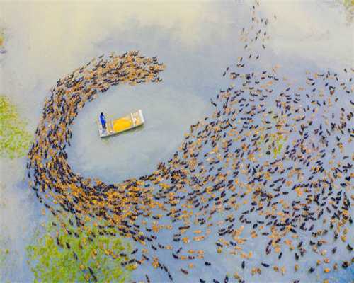 企业培训——危机感管理课程培训！培养团工敬业精神