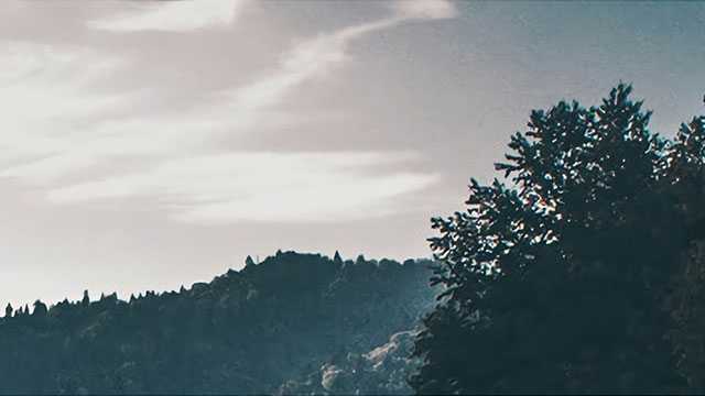 “大白兔”奶糖换了“洋装”价格翻九倍 老字号糖果改头换面，顾客认吗？